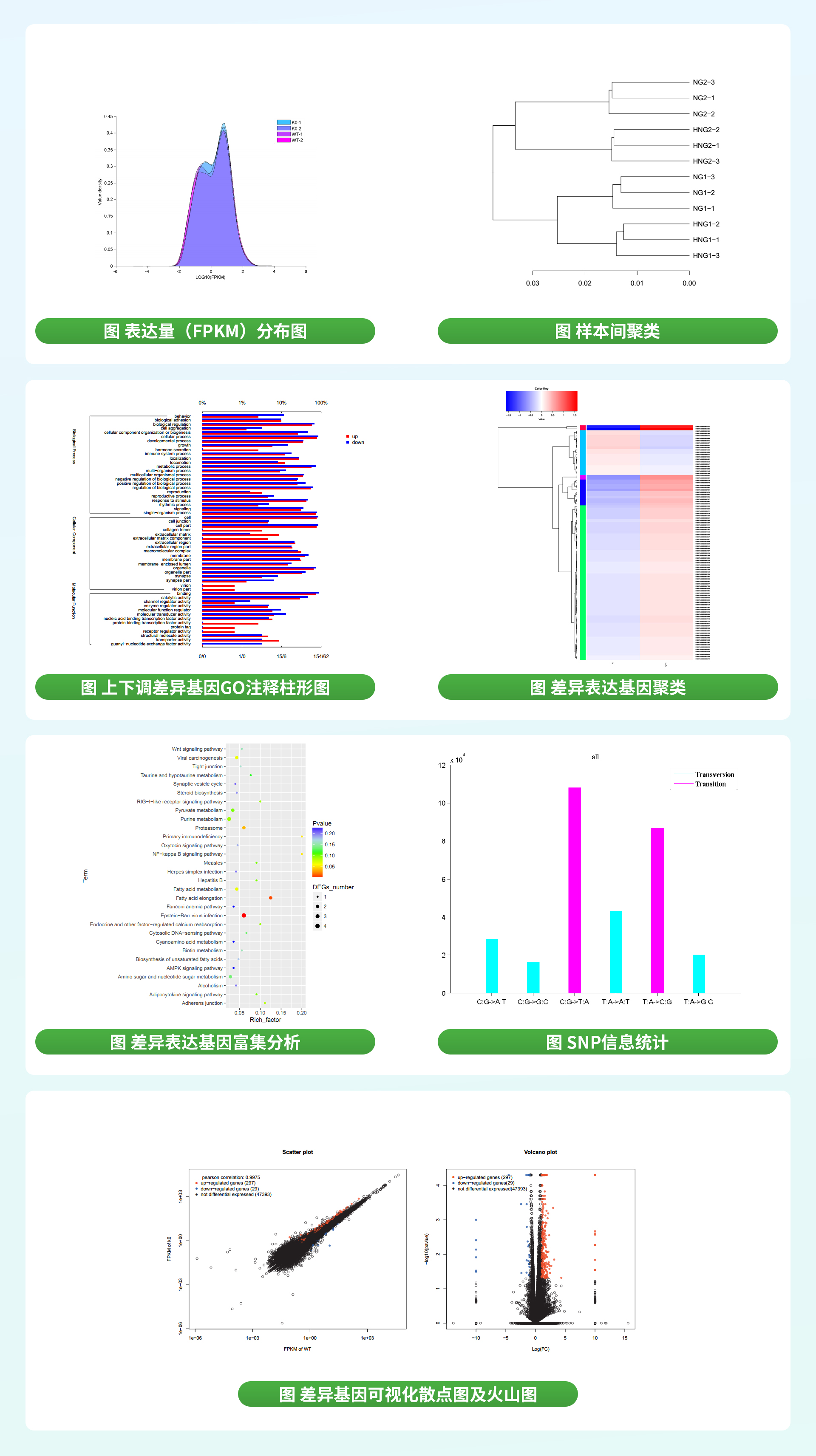 单细胞转录组（SMART）测序.jpg