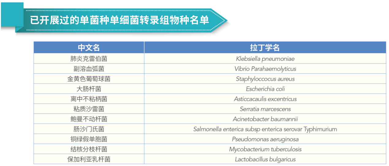 图片1125.png