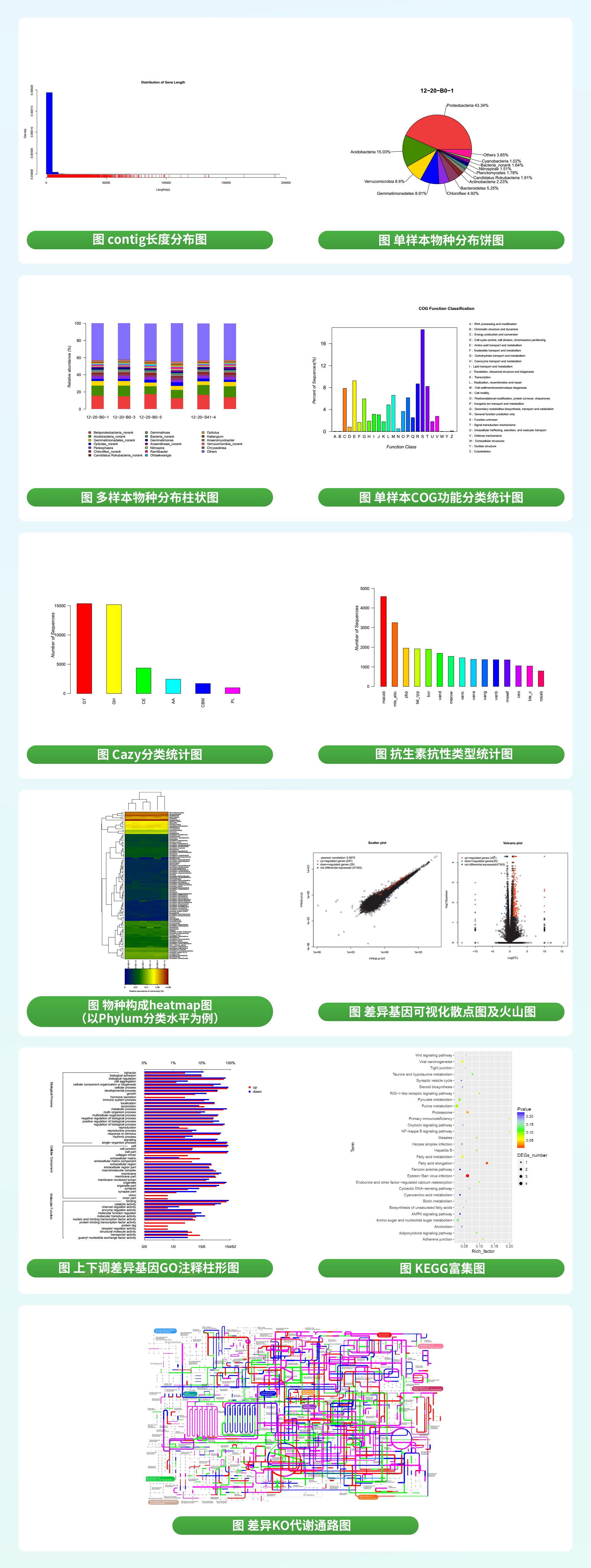 宏转录组差异表达测序.png